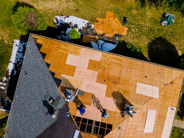 Best Commercial Roofing Services  in Echelon, NJ