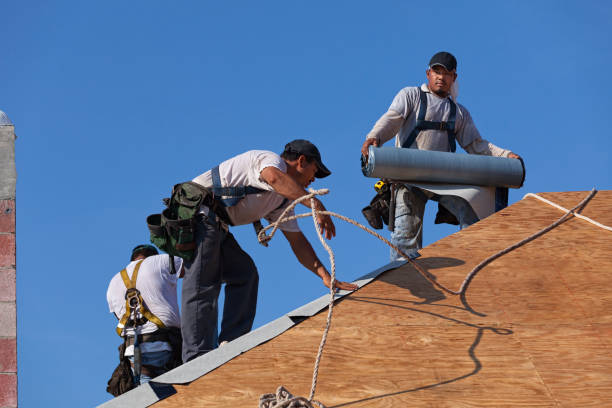 Best Flat Roof Repair Services  in Echelon, NJ