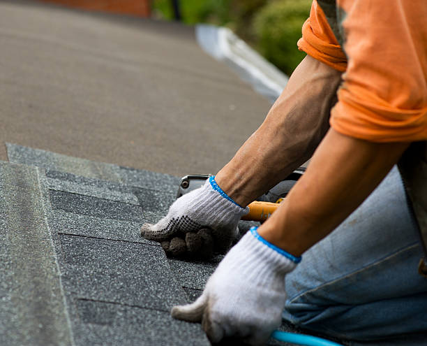 Best Roof Gutter Cleaning  in Echelon, NJ